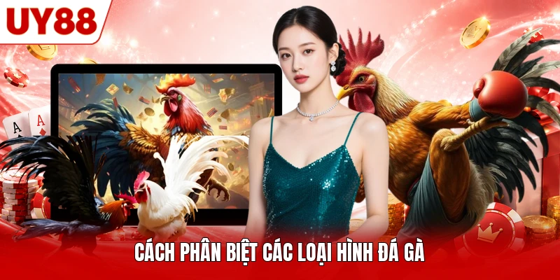 Cách phân biệt các loại hình đá gà